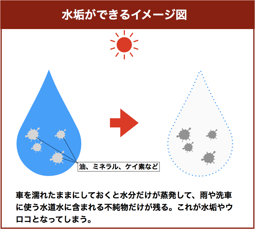 車の水垢を一掃 ガラスの頑固なウロコも３ステップで落とせる くるまと